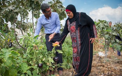 Palestine-agricultural